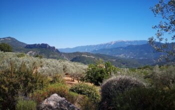 Offre d’emplacement tiny house en Drome Provençale