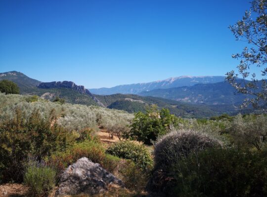 Offre d’emplacement tiny house en Drome Provençale