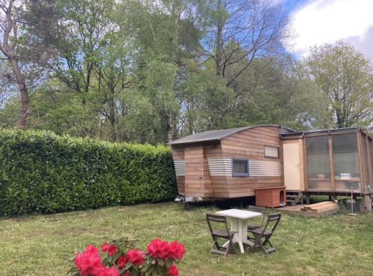 Tiny house stream