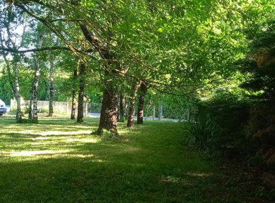 Terrain avec permis tiny, Charente, constructible