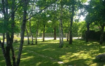 Terrain avec permis tiny, Charente, constructible